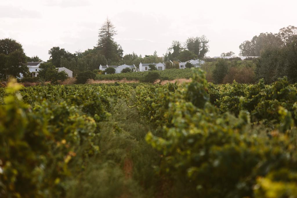 Leipzig Country House & Winery Nuy Экстерьер фото
